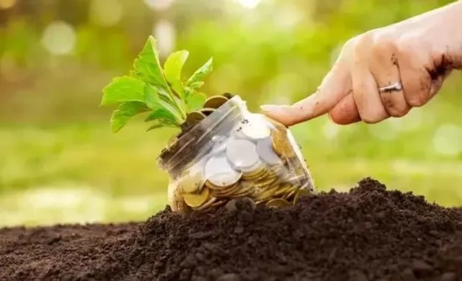 Agro brasileiro tem metade do percentual de financiamento público em relação a países da OCDE