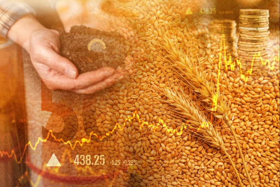 Crise no Oriente Médio: estratégias de proteção para o agro brasileiro 