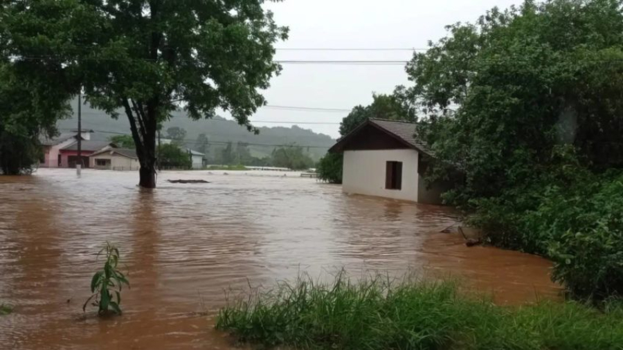Lavouras embaixo d'água outra vez no RS: agricultores relatam destruição e morte de peixes, colmeias e gado